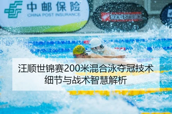 wang-shun-shi-jin-sai-mi-hun-he-yong-duo-guan-ji-shu-xi-jie-yu-zhan-shu-zhi-hui-jie-xi-2-532.jpg