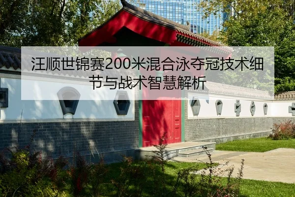 汪顺世锦赛200米混合泳夺冠技术细节与战术智慧解析
