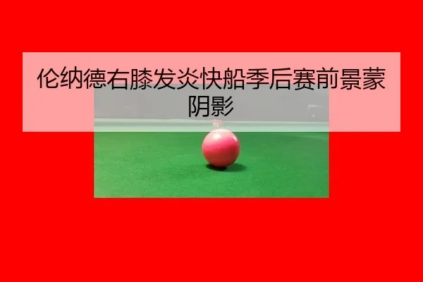 伦纳德右膝发炎快船季后赛前景蒙阴影